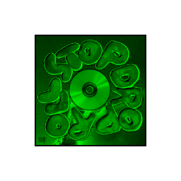 STOP DROP & ROLL! cover